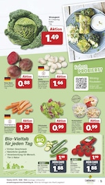 Aktueller famila Nordwest Prospekt mit Pilze, "Markt - Angebote", Seite 5