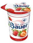 Aktuelles Fruchtjoghurt Angebot bei Penny in Bottrop ab 0,39 €