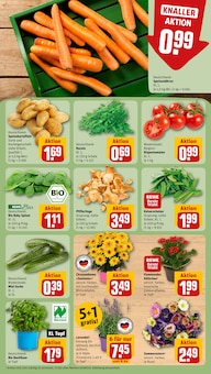 Kartoffeln im REWE Prospekt "Dein Markt" mit 27 Seiten (Leipzig)