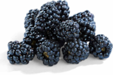 Brombeeren von Driscoll's für 1,49 € bei Netto Marken-Discount im Angebot Brombeeren von Driscoll's im aktuellen Netto Marken-Discount Prospekt