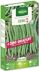 Graines à semer de haricots - VILMORIN dans le catalogue Botanic