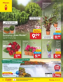 Pflanzen im Netto Marken-Discount Prospekt "Aktuelle Angebote" mit 44 Seiten (Neuss)