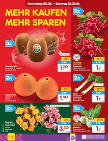 Blumen im aktuellen Netto Marken-Discount Prospekt (Dresden) Blumen im Netto Marken-Discount Prospekt "Aktuelle Angebote" mit 70 Seiten (Dresden)