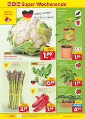 Tomatenpflanze im Netto Marken-Discount Prospekt in Münster Aktueller Netto Marken-Discount Prospekt mit Tomatenpflanze, "Aktuelle Angebote", Seite 50