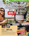 Raiffeisenmarkt - Gasgrill Angebot im Prospekt Gasgrill bei Raiffeisenmarkt im Prospekt "" für 499,00 €