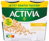 Activia Joghurt 4er-Pack von Danone für 1,79 € bei Netto mit dem Scottie im Angebot Activia Joghurt 4er-Pack von Danone im aktuellen Netto mit dem Scottie Prospekt
