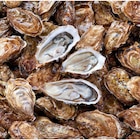 Huître fines de claires Marennes Oléron I.G.P. - Carrefour à Istres Huître fines de claires Marennes Oléron I.G.P. en promo chez Carrefour Istres à 13,99 €