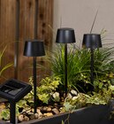 Solar-Gartenstecker schwarz Angebote bei Rossmann Krefeld für 9,99 €