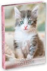 Agenda scolaire Clairefontaine - CLAIREFONTAINE en promo chez Super U Agenda scolaire Clairefontaine - CLAIREFONTAINE dans le catalogue Super U