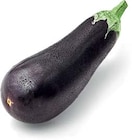 Aktuelles Aubergine Angebot bei Netto Marken-Discount in Hildesheim ab 1,00 €