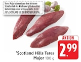 E center Bad Buchau - Teres Major Angebot im Prospekt Teres Major bei E center im Bad Buchau Prospekt für 2,99 €