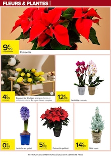 Promotion Tulipes dans le prospectus Carrefour, valable du 02/12/2025 au 15/12/2025 Promo Tulipes dans le catalogue Carrefour du moment à la page 79