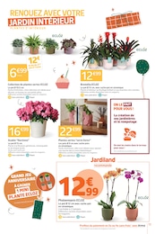Offre Plante D'intérieur dans le catalogue Jardiland du moment à la page 13