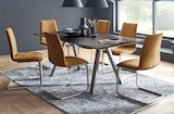 SCHWINGSTUHL im Angebot bei BRAUN Möbel-Center in Pirmasens SCHWINGSTUHL Angebote von VENJAKOB bei BRAUN Möbel-Center Pirmasens für 219,00 €