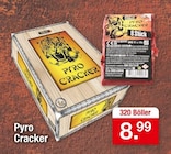 Aktuelles Pyro Cracker Angebot bei Zimmermann in Hannover ab 8,99 €