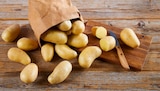 Aktuelle Spargel Angebote bei nahkauf in Wuppertal Aktuelles Spargel-Kartoffeln Angebot bei nahkauf in Wuppertal ab 1,79 €
