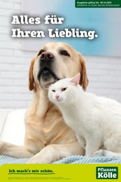 Pflanzen Kölle Prospekt "Alles für Ihren Liebling!", 4 Seiten, 01.12.2023 - 01.12.2023 Aktueller Pflanzen Kölle Prospekt, "Alles für Ihren Liebling!", mit Angeboten der Woche, gültig von 01.12.2023 bis 01.12.2023