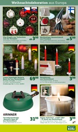 Weihnachtsbaumbeleuchtung Angebot im aktuellen Pflanzen Kölle Prospekt auf Seite 11