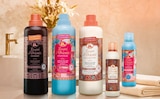 Aktuelles Hammam Angebot bei Netto Marken-Discount in Mainz ab 2,79 €