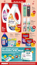 Shampoo im Penny Prospekt in Pforzheim Aktueller Penny Prospekt mit Shampoo, "Wer günstig will, muss Penny.", Seite 16