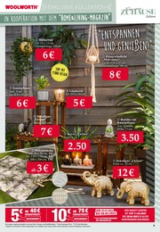 Woolworth Pflanzen im Prospekt 