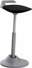 Sitzhocker im Angebot bei Möbel Inhofer in Reutlingen Sitzhocker Angebote von aeris bei Möbel Inhofer Reutlingen für 355,32 €