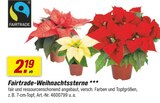 Weihnachtssterne bei toom Baumarkt im Nuthe-Urstromtal Prospekt für 2,19 €