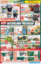 Strandkorb Angebot im aktuellen Norma Prospekt auf Seite 2