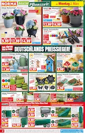 Strandkorb im Norma Prospekt in Seevetal Aktueller Norma Prospekt mit Strandkorb, "Mehr fürs Geld", Seite 2