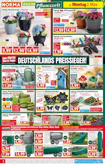 Blumen im aktuellen Norma Prospekt (Jena) Blumen im Norma Prospekt "Mehr fürs Geld" mit 20 Seiten (Jena)