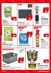 Aktueller Hagebaumarkt Prospekt mit Tierbedarf, "SUPER DEALS", Seite 3