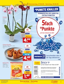 Zimmerpflanzen im Netto Marken-Discount Prospekt "Aktuelle Angebote" mit 68 Seiten (Mannheim)