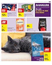 Purina One Angebote im Prospekt "les Jours Meilleurs avec Les Produits Carrefour" von Carrefour Market auf Seite 49