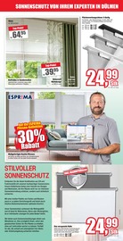 Aktueller Wilhelm Pelster GmbH & Co. KG Prospekt mit Rollo, "DIE WOHNRAUM-PROFIS", Seite 7