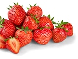 Bio-Erdbeeren bei Penny im Namborn Prospekt für 1,00 €