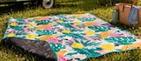Aktuelles Picknickdecke Angebot bei Netto Marken-Discount in Dresden ab 8,99 €