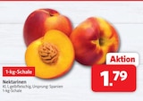 Markant Nordwest Wallenhorst - Nektarinen Angebot im Prospekt Nektarinen bei Markant Nordwest im Wallenhorst Prospekt für 1,79 €