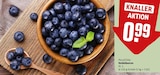 Heidelbeeren im aktuellen REWE Prospekt