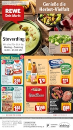 REWE Prospekt für Bocholt mit 35 Seiten REWE Prospekt "Dein Markt" für Bocholt, 35 Seiten, 20.10.2025 - 25.10.2025