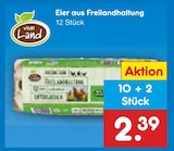 Eier aus Freilandhaltung Angebote von vom Land bei Netto Marken-Discount Witten für 2,39 €