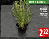 Freilandkräuter Rosmarin bei EDEKA im Bocholt Prospekt für 2,22 €