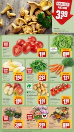 Kartoffeln Angebot im aktuellen REWE Prospekt auf Seite 11