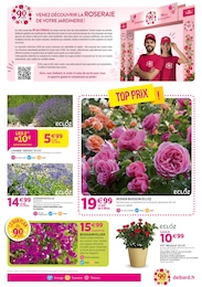 Prix et réduction Lavande dans le prospectus Delbard en cours Offre Lavande dans le catalogue Delbard du moment à la page 5