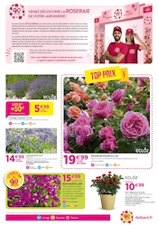Promos Bougainvillier dans le catalogue "90 ans à faire pousser les envies !" de Delbard à la page 5