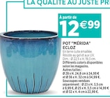 Promo Pot "mérida" ECLOZ à 12,99 € dans le catalogue Delbard à Tonnerre