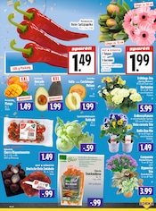 Aktueller EDEKA Prospekt mit Pflanzen, "Aktuelle Angebote", Seite 5