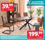 Esstisch „Star”  im aktuellen Segmüller Prospekt für 39,99 €