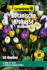 Hagebaumarkt Lüneburg - Botanische Krokusmischung Angebot im Prospekt Botanische Krokusmischung bei Hagebaumarkt im Lüneburg Prospekt für 6,99 €