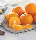 Promo Mandarine à 2,99 € dans le catalogue Intermarché à Cavaillon