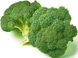 GO Regio Broccoli von Netto Eigenmarke für 1,29 € bei Netto mit dem Scottie im Angebot GO Regio Broccoli von Netto Eigenmarke im aktuellen Netto mit dem Scottie Prospekt